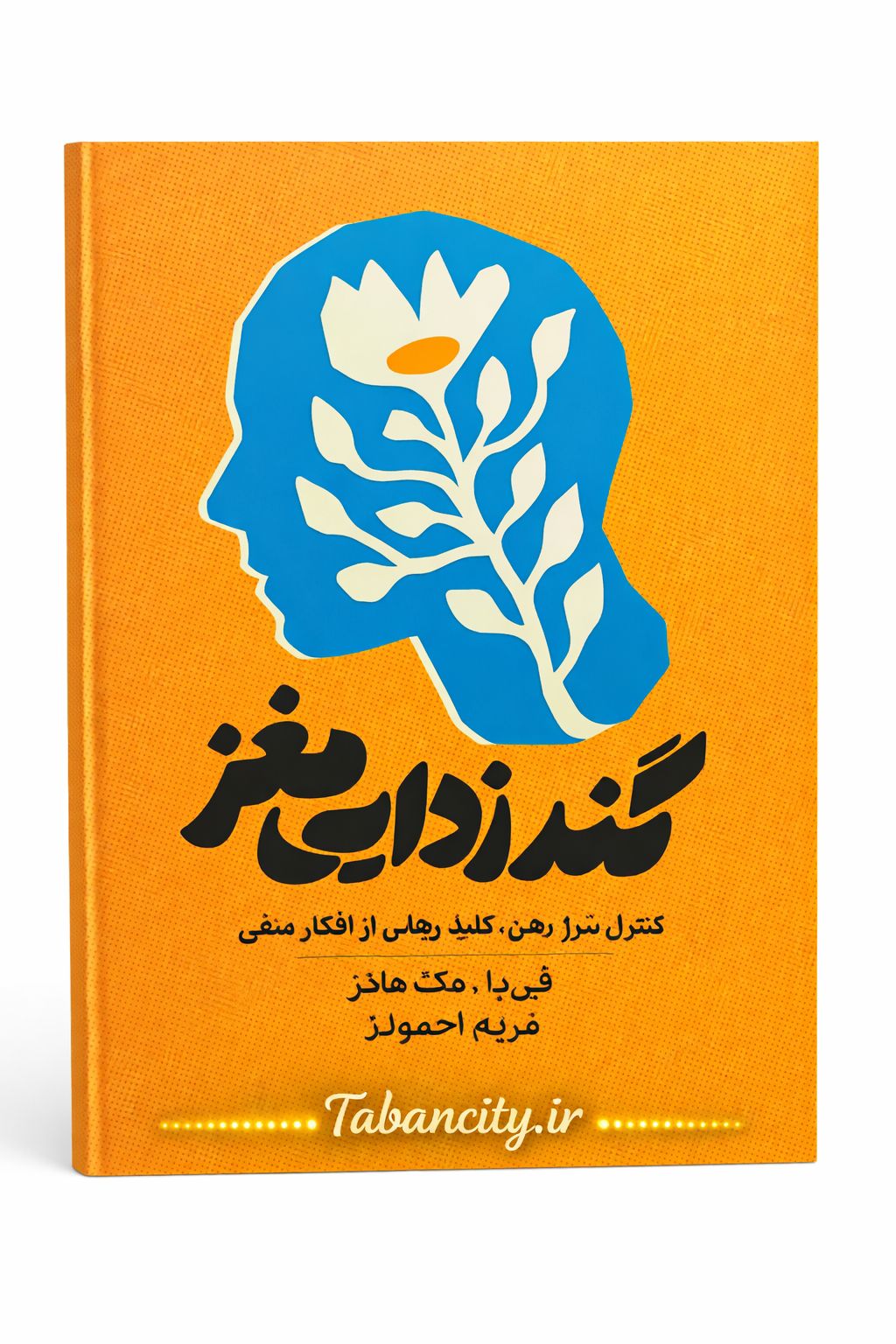 کتاب گند زدایی مغز نشر آزاد نشر با تخفیف 3 روزه